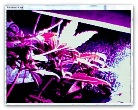 webcam%20view_0.jpg