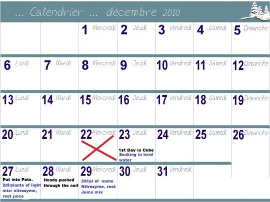 calendrier-decembre-2010.jpg