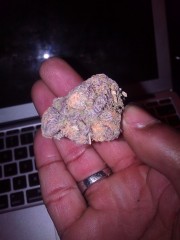 Baltimore Purple Kush