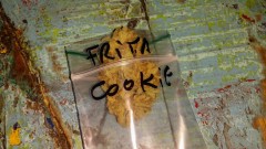 Fruity Cookie