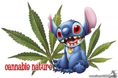 Cannabis Nature