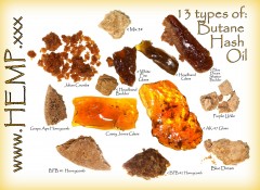 13 Types Of BHO