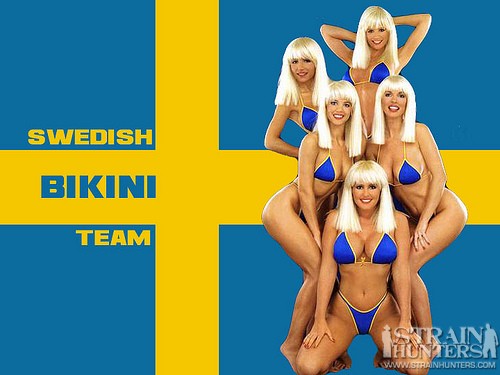 swedish bikini team