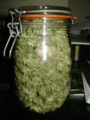 TnT 2 Jar 02 06 2013 after 1 week Of curing