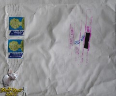 envelope security check