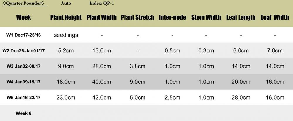 Quarter Pounder-QP1-plant-stats.jpg