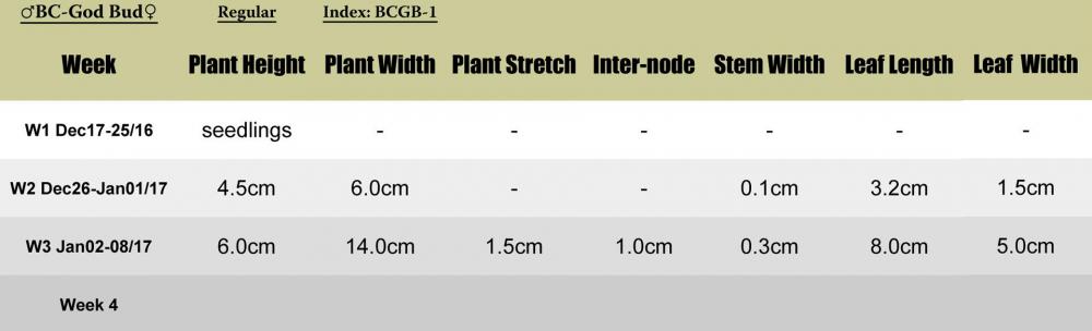 BCgodbud-BCGB1-plant-stats.jpg
