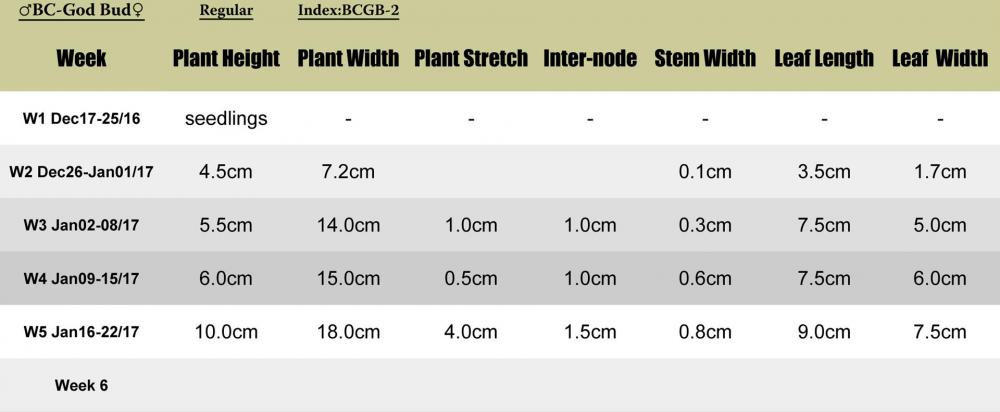 BCgodbud-BCGB2-plant-stats.jpg