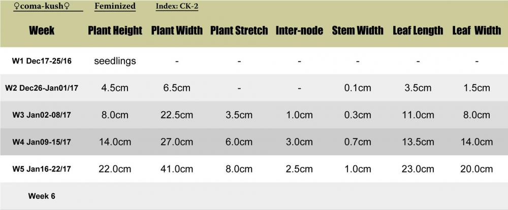Comakush-CK2-plant-stats.jpg