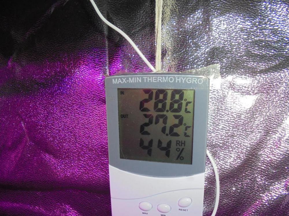 23june-2019-temp-humidity-in-grow-tent.jpg