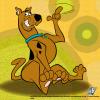 scooby420
